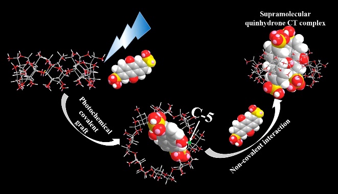 123. Photochemical Graft of γ-Cyclodextrin’s Interior leading to In-situ Charge-Transfer Complexes with Unusual Regioselectivity and Its Application in 3D Photo-printing