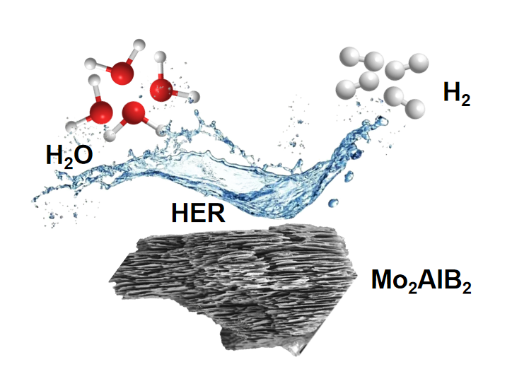 toc-lyq